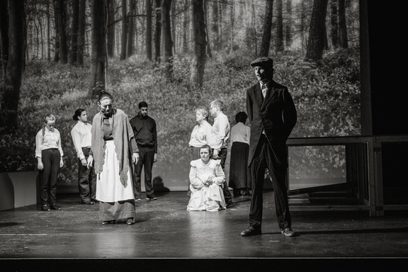 Mill on the Floss - DR-233